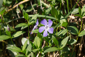 The countryside around us lives 