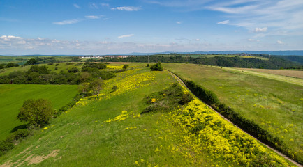 Ein Wanderweg in der Vulkaneifel