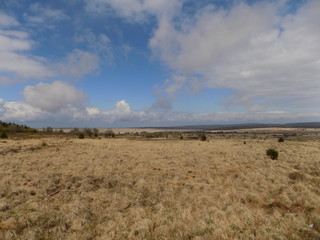 Obraz premium Haute-Fagnes, Belgique