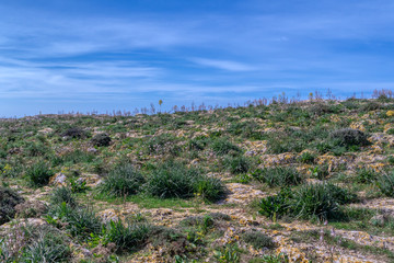 View of green meadow and blue sky, Malta