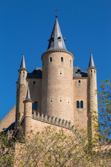 Fototapeta na wymiar Alcazar castle of Segovia