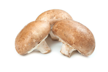 Fresh champignon mushrooms isolated on white. Healthy food conception