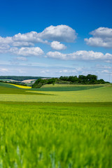 Getreidefelder in der Vulkaneifel