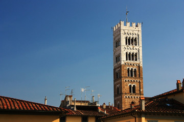 Fototapeta na wymiar Medieval tower in the city of Lucca, Italy