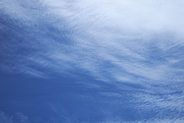 Fototapeta premium 青空