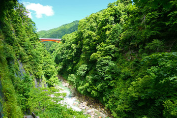 Obraz premium 小安峡。栗駒国定公園の景勝地。湯沢 秋田 日本。８月上旬。