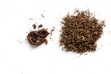 African Night Crawler, earthworms and Fertile soil isolated on white background.