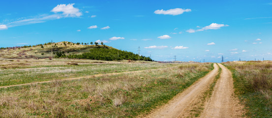 Obraz premium The sunny panoramic landscape with grassland, rural unpaved road and hill at the distance