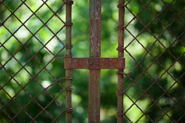 rusty fence and green trees background