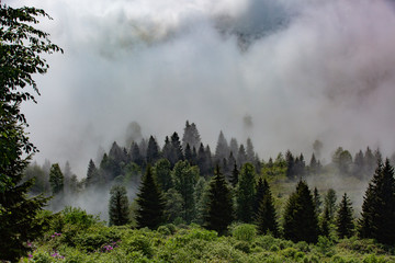 Mountain, Highland and the Land of the clouds Black Sea