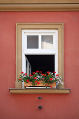 Fototapeta na wymiar A beautiful red flower is standing on the window of the house
