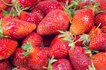 Many red strawberries. Group of home-made ripe strawberries. Vegetarian food from organic strawberry fruit. Close-up of red berries.