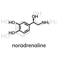 Noradrenaline vector icon with shadow on white background