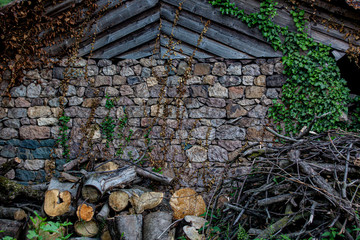  old house and black sea village architecture