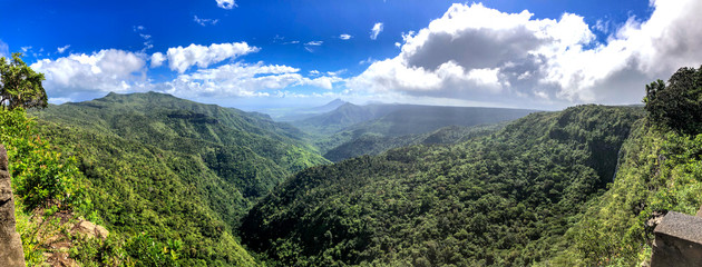 Panoramic aerial view of Tropical Forest on a sunny day
