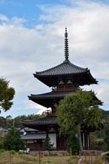 Obraz premium 法起寺