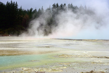 Plakat Geothermal craters in the forest in the Waiotapu area of the Taupo Volcanic Zone in New Zealand