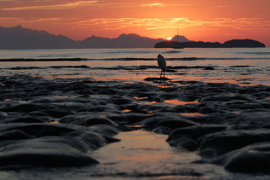 Amanhecer no paraiso
