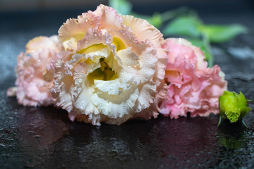 cake with cream and flowers