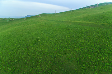 The mountains of the Iran and Turkmenistan on a summer day, greenery, hills. Mountains Iran summer day, green hills, sun, sky, summer, valley