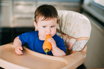 Little girl child in a high chair eating a carrot in the afternoon in the kitchen