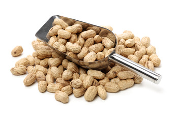 Peanuts on a white background