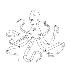 Octopus outline vector icon