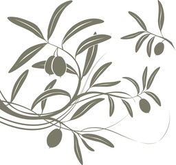 Fondo de olivas
