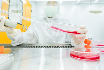 A scientist transfering fresh medium into petri dishes and flasks for cell culture assay in...