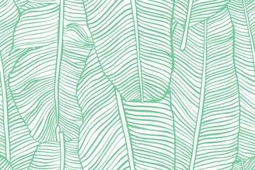 Tropical leaves. Seamless texture with banana leaf. Hand drawn tropic foliage. Exotic green background.