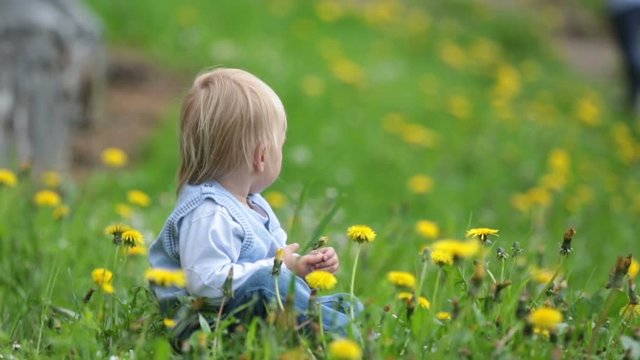 Little cute toddle boy, playing with flowers in dandelion field