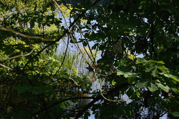 Schlachtensee, Zehlendorf, Berlin
