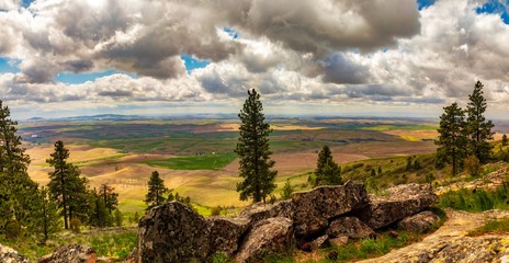 The Rolling Hills of Washington Palouse from Kamiak butte on cloudy day