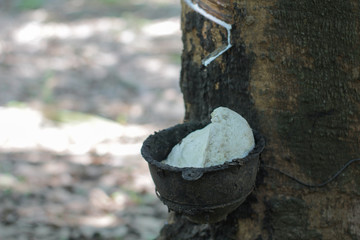 detail of a fountain