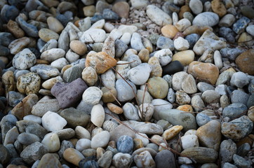 the gravel on the beach