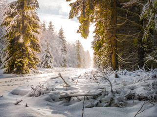 winter and snow