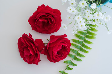 Rote Rosen Naturmort
