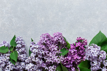 Grey concrete background with lilac flowers