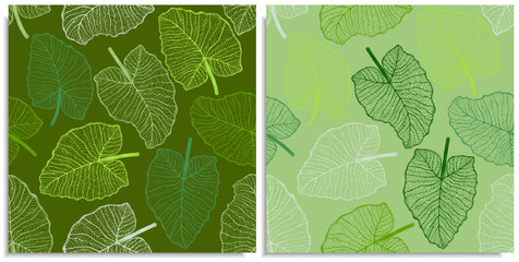 Vector set of a seamless pattern with sprigs of jungles leaves. Hand-drawn on sheet at the graphic style. Lines, compound path. Green color shades. Elephant Ears, Alocasia, Colocasia, Xanthosoma leaf.