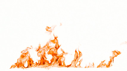 Fire flames isolated on white background.