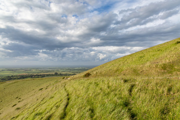 A Path on a Hillside Along the South Downs Way