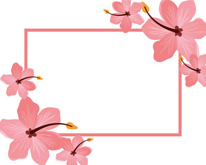 frame with flower and leafs in white background