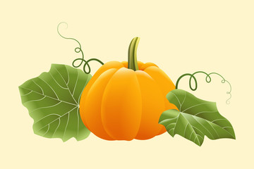 Ripe orange pumpkin with leaves and tendrils isolated on light yellow background. Vector illustration