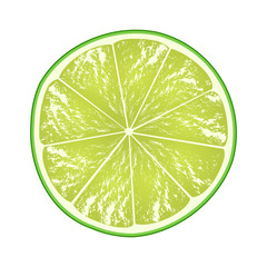 Lime slice isolated on white background. Citrus in cross section. Vector illustration