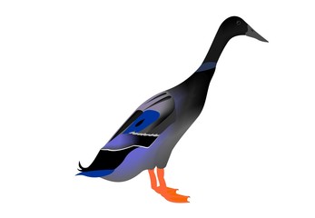 Illustration of an Indian Runner duck