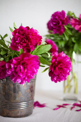 Pink peony on the table