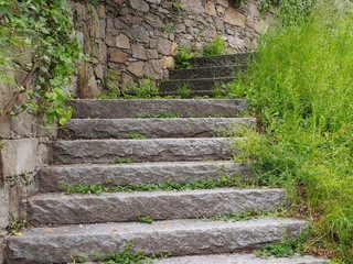 Burg - mittelalterliche Steintreppe mit Pflanzenbewuchs
