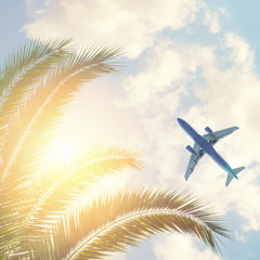 Palm trees with plane and sky clouds background