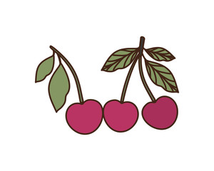 delicious cherry on white background