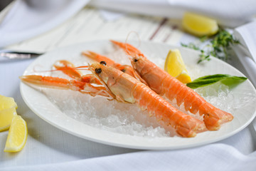 scampi on a plate with ice and lemon